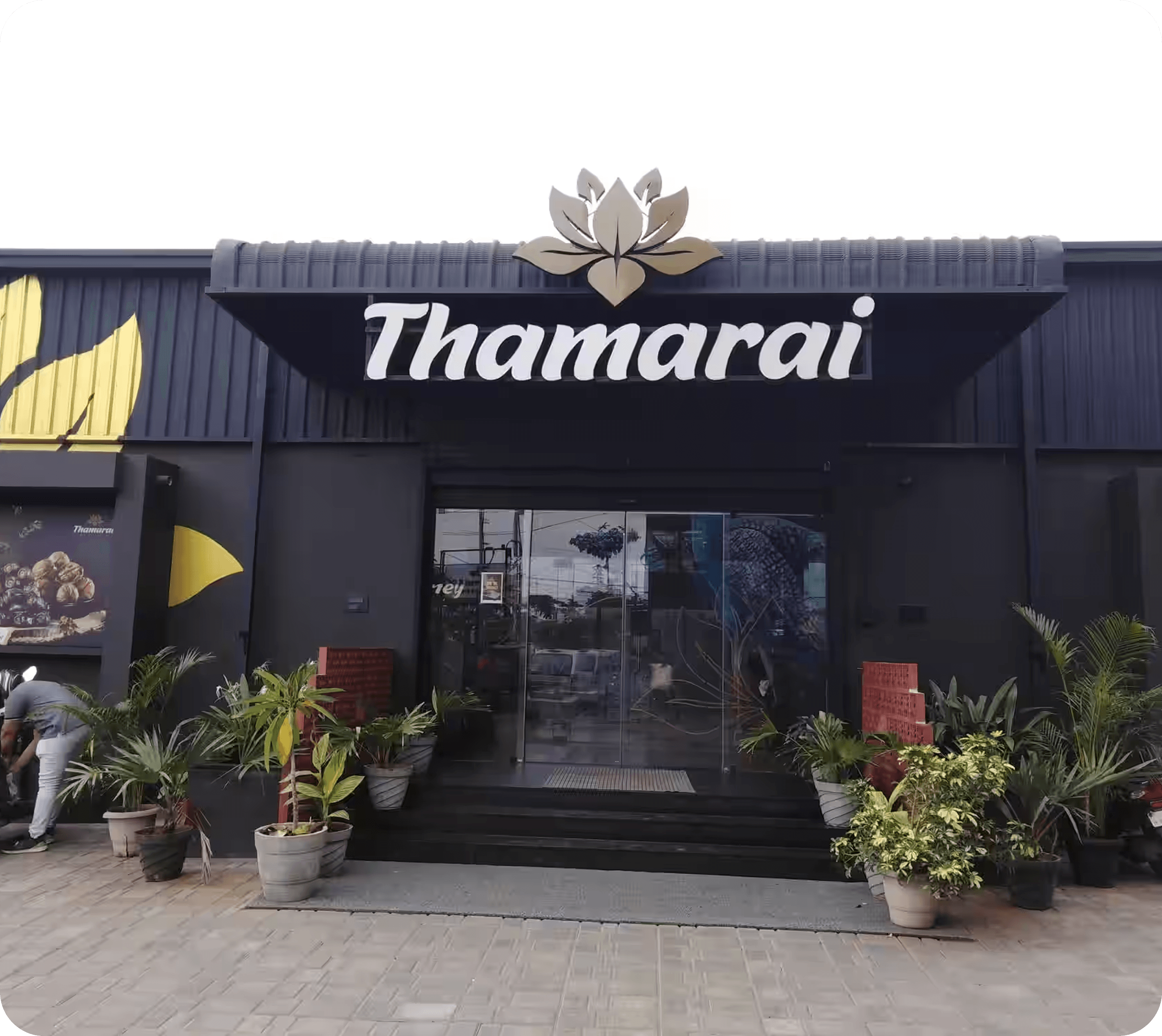 Thamarai storefront with lotus signage and glass entrance